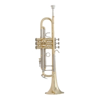 Труба Bach Stradivarius 18037