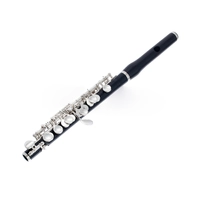 Флейта-пикколо Philipp Hammig 650/2 HKG