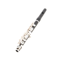 Флейта-пикколо Philipp Hammig 650/4