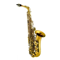 Альт-саксофон Amati AAS 63