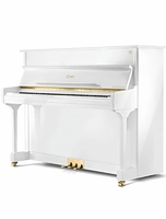 Пианино Essex EUP-123 E