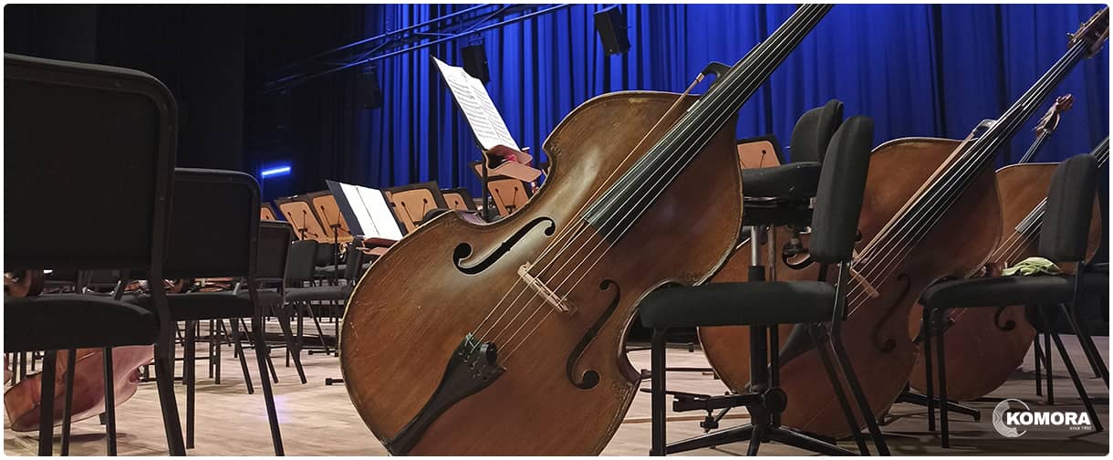 Контрабас &ndash; історія, будова та різниця з віолончеллю.